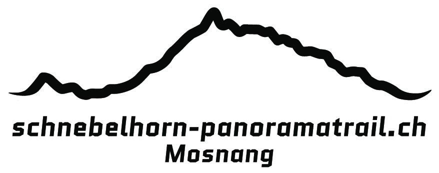 Logo schwarz ohne Linie